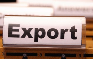 Application for Export Permit through Mauritius Trade Link