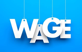 Government Wage Assistance Scheme & Self-Employed Assistance Scheme
