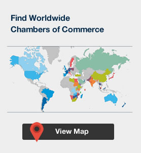 Mauritius-Turkey FTA