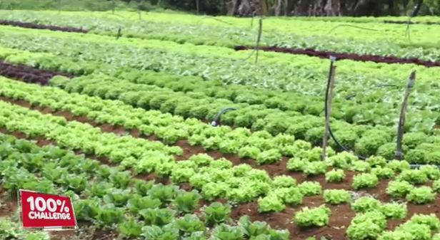 Des professionnels de l’agriculture engagés vers la réduction des pesticides