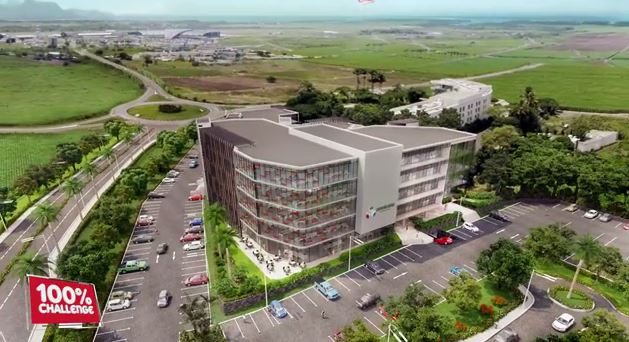 Mon Trésor sort de terre