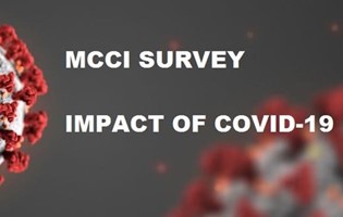 MCCI Survey: Impact of Coronavirus on Mauritian companies