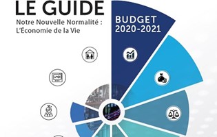 Budget 2020 - 2021