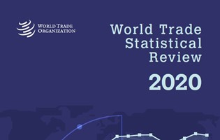 World Trade Statistical Review 2020