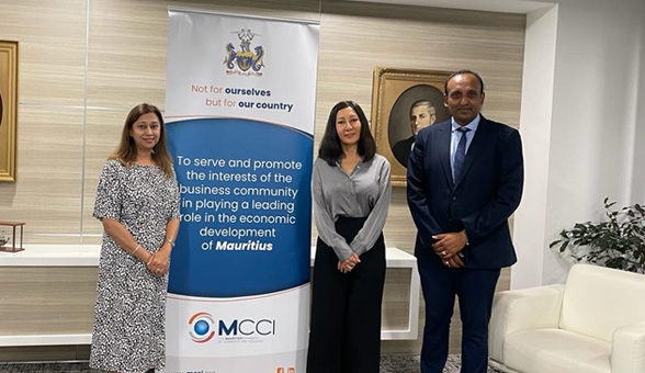 Collaborative action between the MCCI and the UN