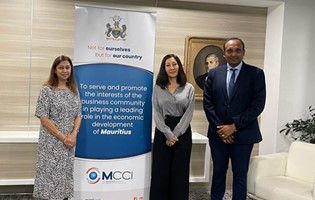 Collaborative action between the MCCI and the UN